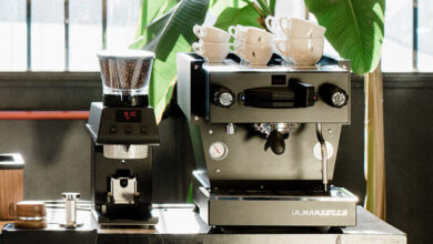 la marzocco linea mini